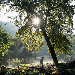 Органические ингредиенты DR. HAUSCHKA