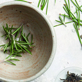 Ботаника: розмарин