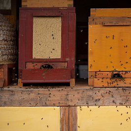 Косметика, которая не тестируется на животных