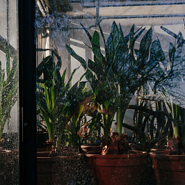 Органическое земледелие для хороших продуктов