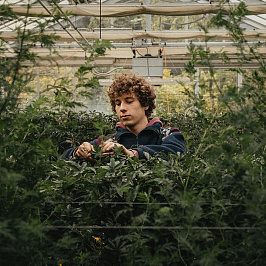 Мифы о натуральной косметике