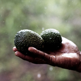 Хорошо для кожи, хорошо для мира!